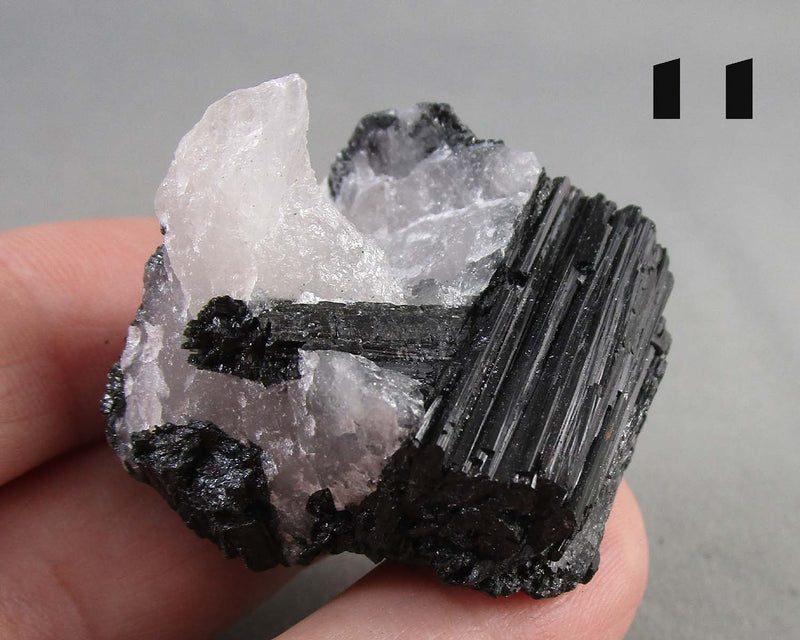 You Choose!  Black Tourmaline In Quartz Crystal