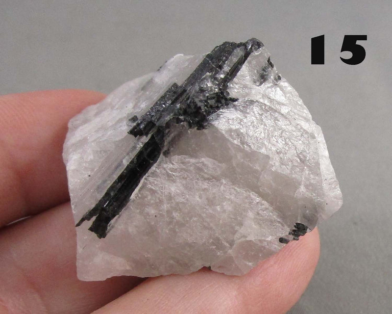 You Choose!  Black Tourmaline In Quartz Crystal