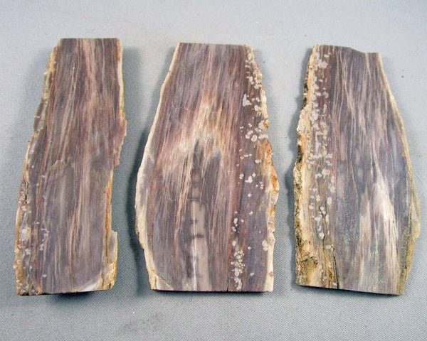 Petrified Wood Slice 1pc J216