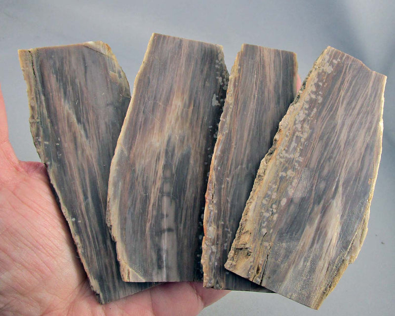 Petrified Wood Slice 1pc J216