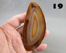 You Choose! Agate Stone Slice (Drilled)