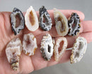 You Choose! Oco Geode (Drilled)