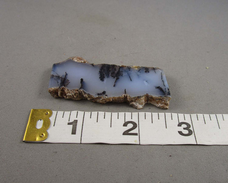 Dendritic Agate Stone Slice 1pc B077-3
