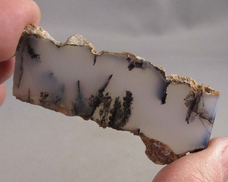 Dendritic Agate Stone Slice 1pc B077-3