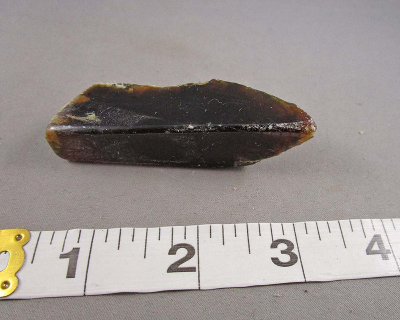 Polished Black Amber 1pc B077-4