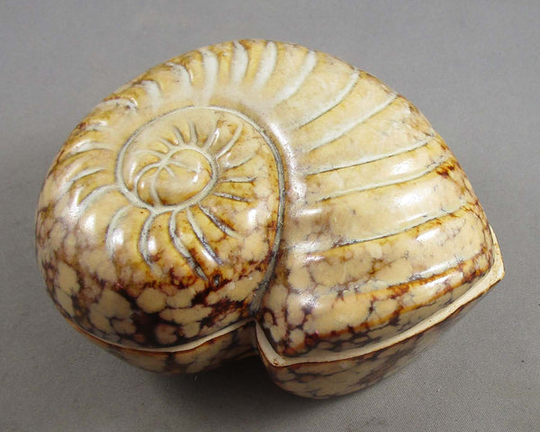Ammonite Shell Ceramic Trinket Box 1pc B070-4