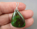 Parrot Wing Chrysocolla Pendant Sterling Silver H118-14