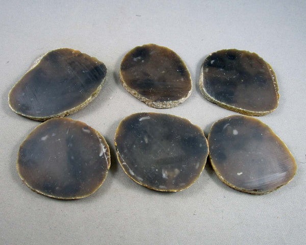 Brown Agate Slices 2pc Z005