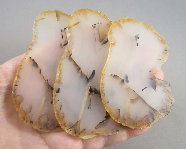 Dendritic Agate Stone Slice 1pc Z065