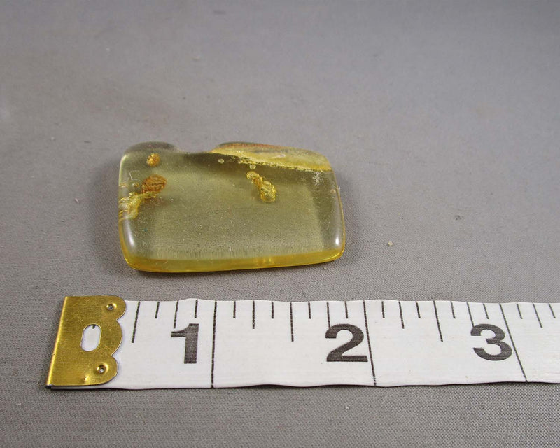 Polished Amber Madagascar 1pc B008-5