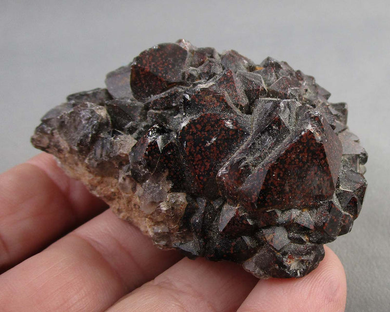 Red Thunder Bay Amethyst Crystal Cluster 1pc B091-4