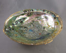 XXLarge Abalone Shell Smoke Cleansing Bowl 7" 1pc