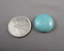 Amazonite Round Cabochon 1pc 20mm C656