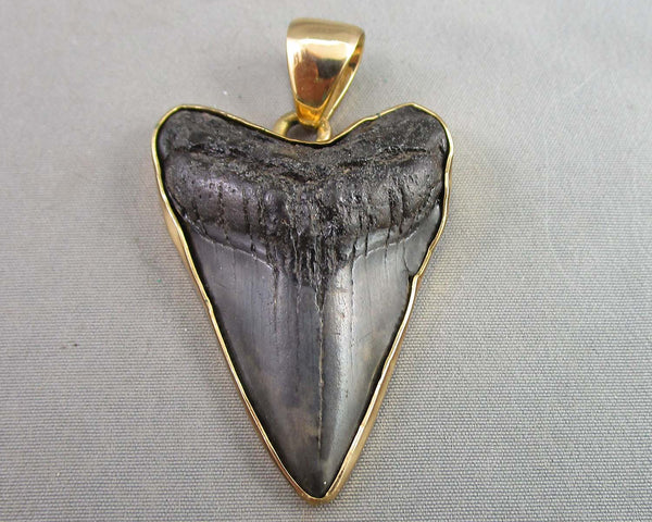90% Complete Megalodon Shark Tooth Fossil Pendant 1pc B009-7