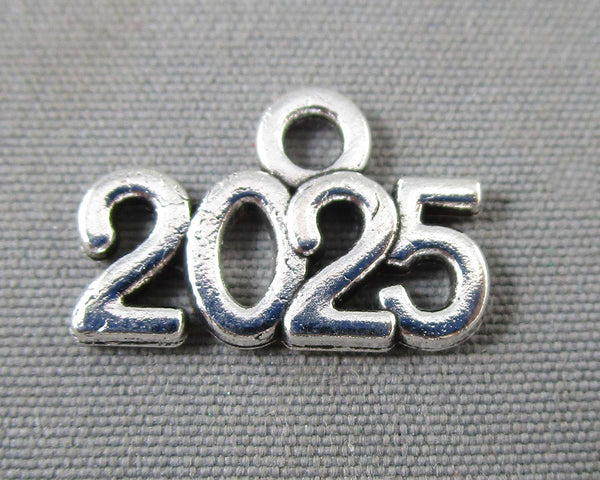 2025 Charms Silver Tone 10pcs (C066)