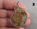 You Choose!  Ammonite Fossil Gemstone Pendants