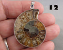You Choose!  Ammonite Fossil Gemstone Pendants