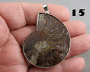 You Choose!  Ammonite Fossil Gemstone Pendants