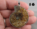 You Choose!  Ammonite Fossil Gemstone Pendants