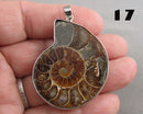 You Choose!  Ammonite Fossil Gemstone Pendants