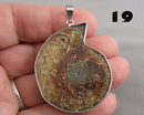 You Choose!  Ammonite Fossil Gemstone Pendants