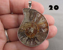You Choose!  Ammonite Fossil Gemstone Pendants
