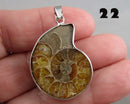 You Choose!  Ammonite Fossil Gemstone Pendants
