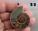 You Choose!  Ammonite Fossil Gemstone Pendants