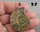 You Choose!  Ammonite Fossil Gemstone Pendants