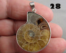 You Choose!  Ammonite Fossil Gemstone Pendants