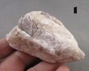 You Choose!  Raw Phosphosiderite Stone