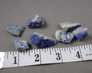 Lapis Lazuli Stones Raw 2pc H091