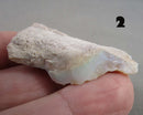 You Choose!  Opal Gemstone (Various Kinds) Drop 1