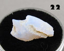 You Choose!  Opal Gemstone (Various Kinds) Drop 2