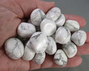 White Howlite Polished Stones 5pcs J083