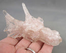 Rose Quartz In Resin Dragon H009