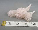 Rose Quartz In Resin Dragon H009