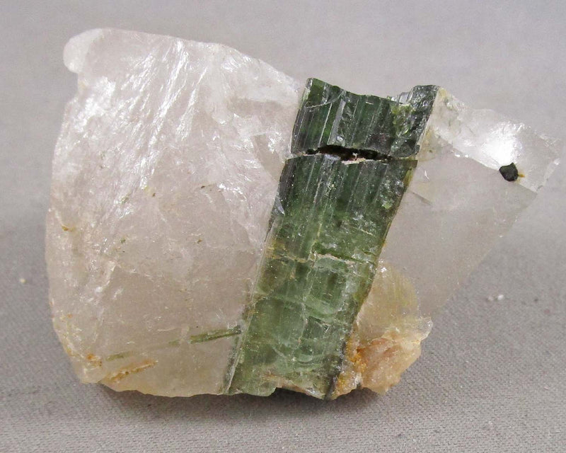Green Tourmaline in Quartz Crystal 1pc B084-4