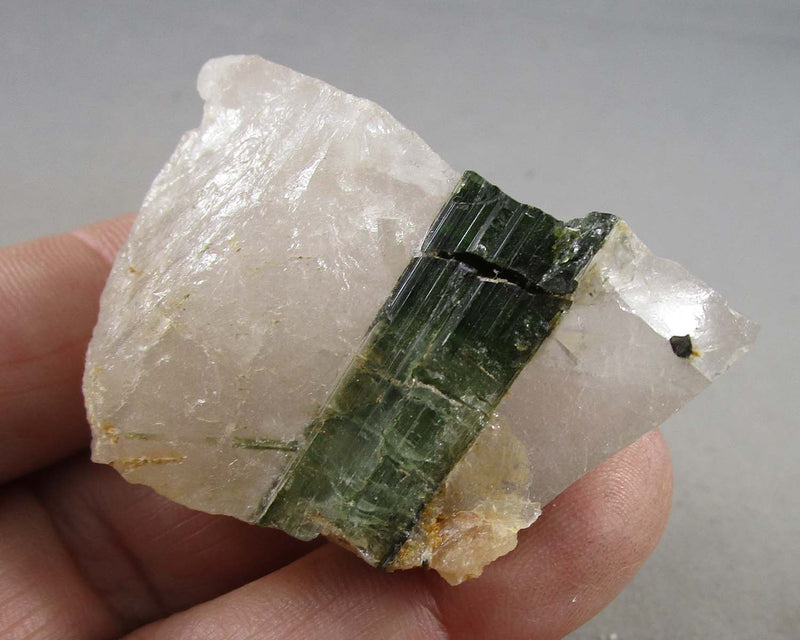 Green Tourmaline in Quartz Crystal 1pc B084-4