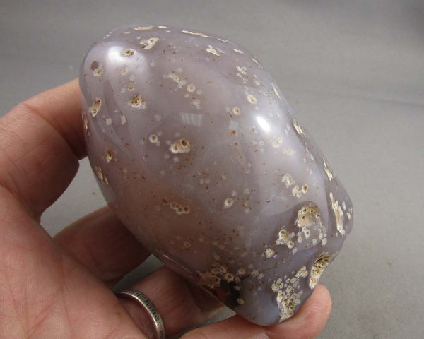 Enhydro Agate Polished Stone 1pc B077-1