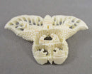 Carved Bone Butterfly Brooch (Vintage) H016-16