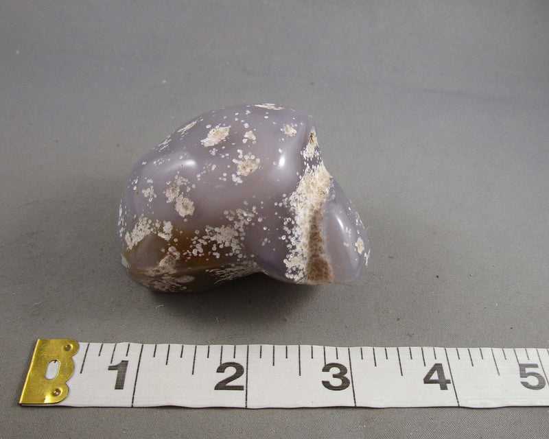 Enhydro Agate Polished Stone 1pc B054-2