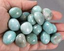 Amazonite Polished Stones 3pcs J077