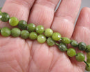 Nephrite Jade Beads (Canadian) Faceted Flat Round 6.5mm (C231)