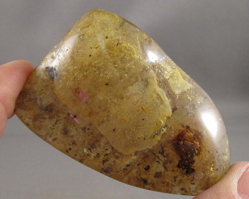 Polished Amber Madagascar 1pc B115-5