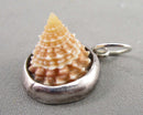 Shell Pendant 925 Sterling Silver H053-6