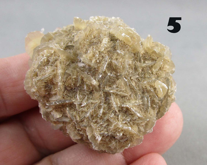 You Choose!  Manitoba Floodway Crystal Rose 1pc