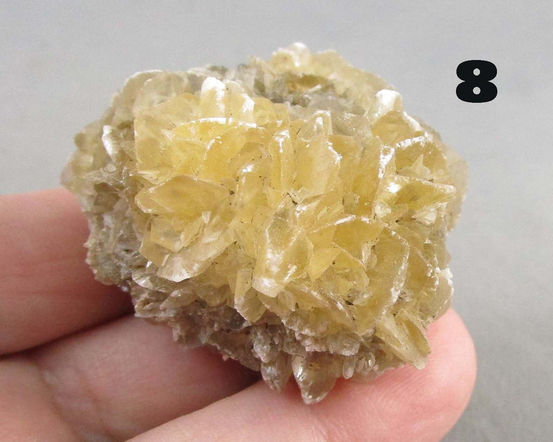 You Choose!  Manitoba Floodway Crystal Rose 1pc