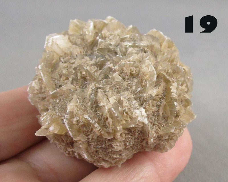 You Choose!  Manitoba Floodway Crystal Rose 1pc