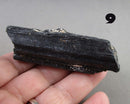 You Choose!  Black Tourmaline Crystal